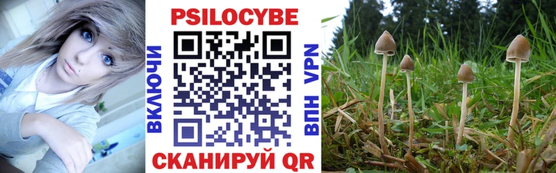 Галлюциногенные грибы Cubensis  Болхов 